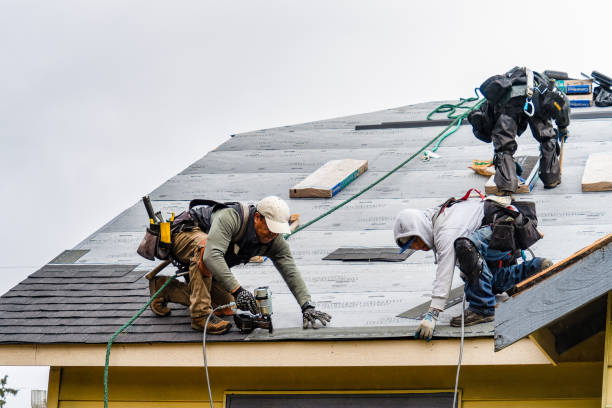 Professional Roofing technician working in Hansville, WA